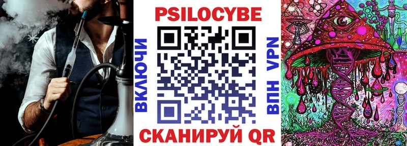 наркота  Сураж  Галлюциногенные грибы Psilocybe 